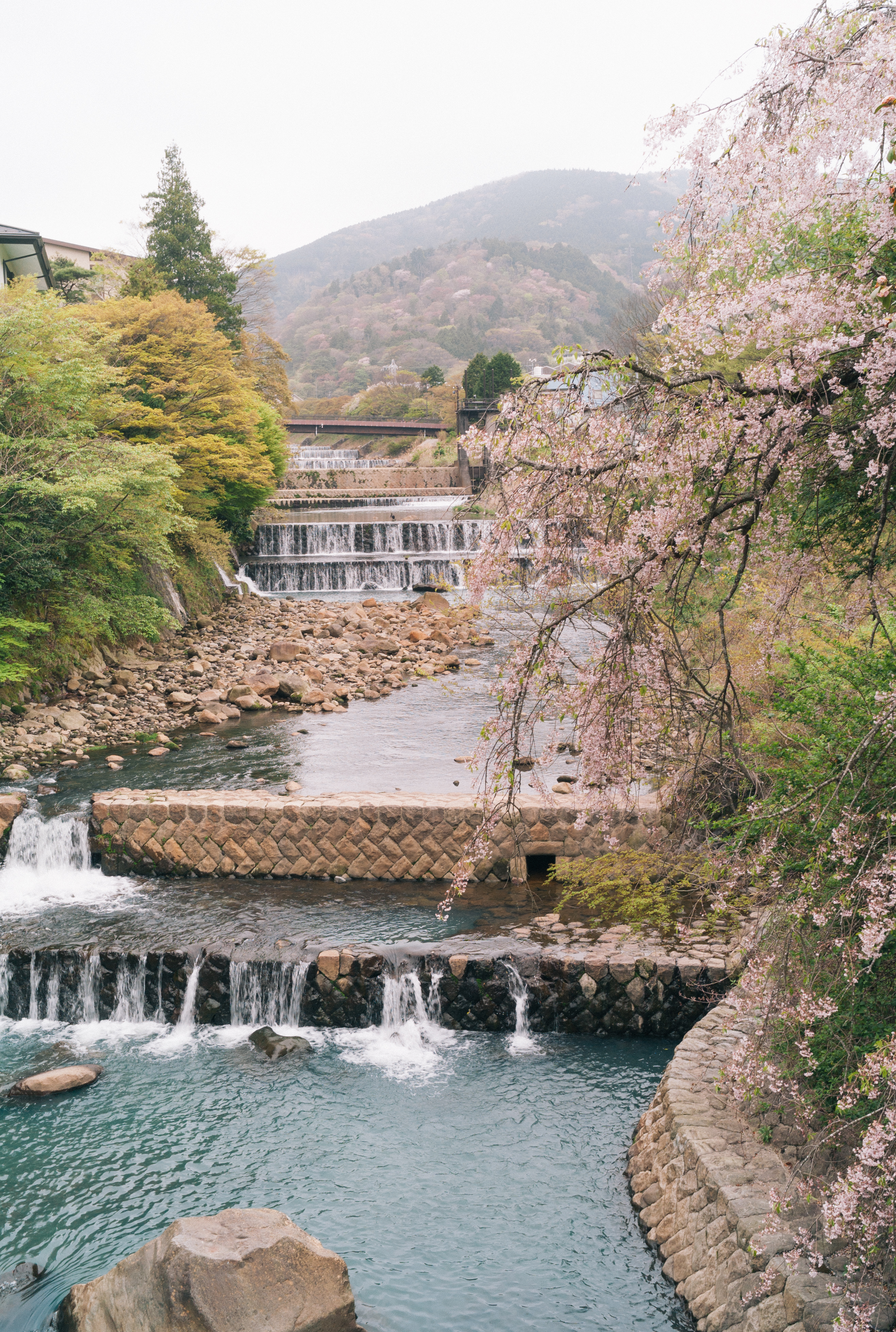 River walk in Hakone, Japan