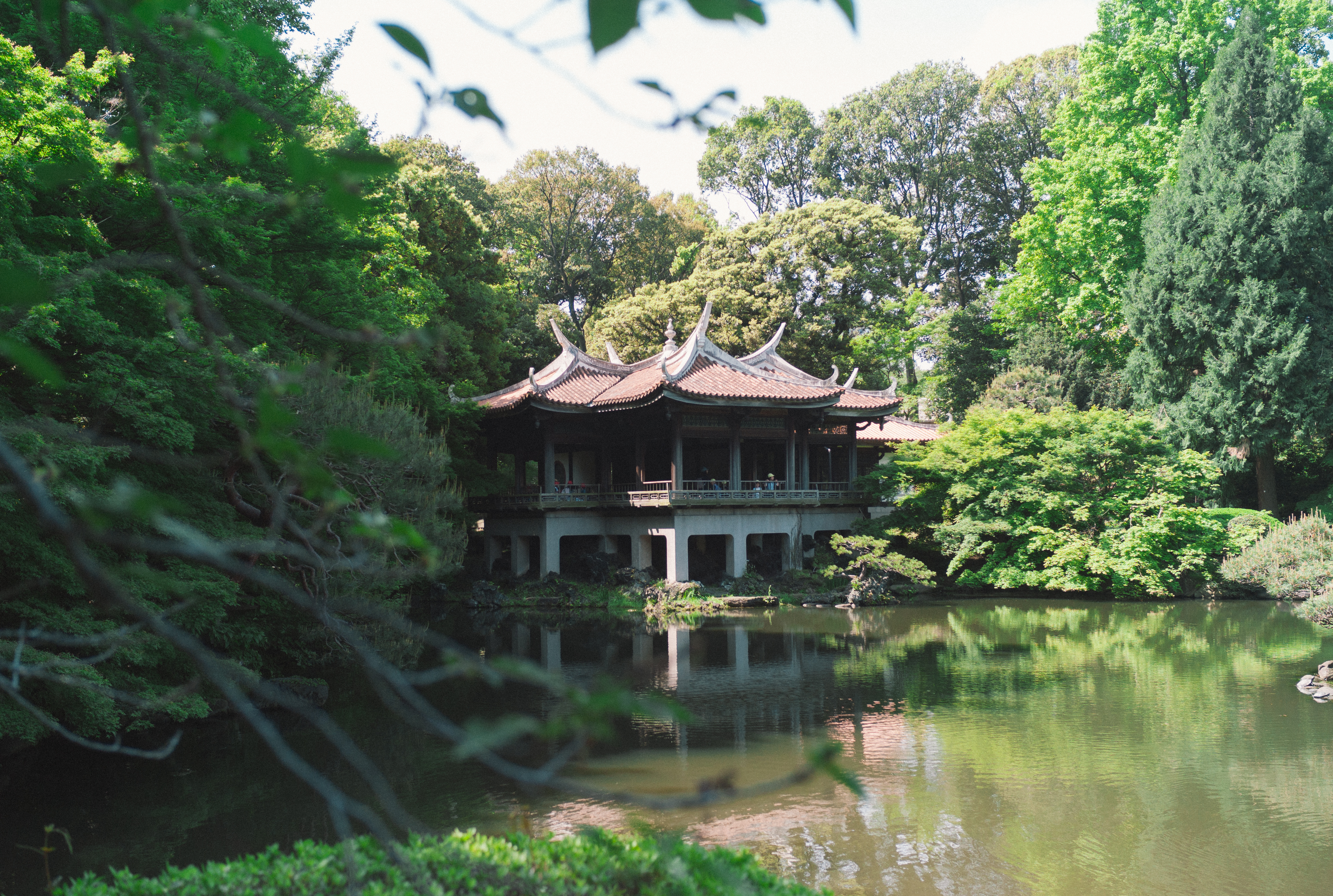 Pagoda in Tokyo